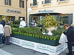 P1170663.JPG