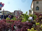 P1220081.JPG