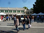 P1220109.JPG