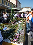 P1220115.JPG