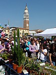 P1220118.JPG