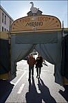 207TS11ZOGO_B006.jpg