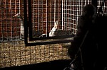 207TS11ZOGO_B059.jpg