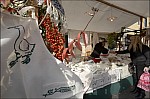 207TS11ZOGO_B074.jpg