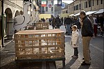207TS11ZOGO_B093.jpg