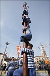 207TS11ZOGO_E016.jpg