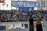 207TS11ZOGO_E107.jpg