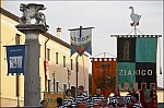 207TS11ZOGO_E135.jpg