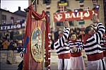 207TS11ZOGO_E235.jpg