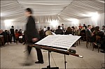 207TS11ZOGO_F008.jpg