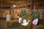 207TS11ZOGO_G005.jpg
