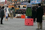 IMG_4123.JPG